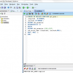Anlegen einer unverschlüsselten PL/SQL Funktion in Oracle SQL Developer