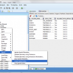 SQL Developer 3.0 Spatial Functions